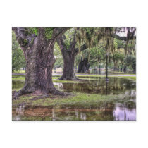 Live Oak Flooding Postcard