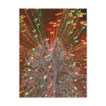 Live Oak Florida Tree Christmas Lights Zoom Postcard