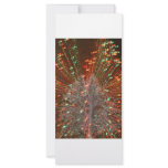 Live Oak Florida Tree Christmas Lights Zoom Rack Card Design