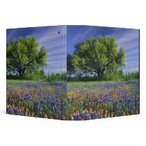 Live Oak & Texas Paintbrush, and Texas Vinyl Binder