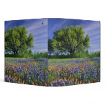 Live Oak &amp; Texas Paintbrush, and Texas Vinyl Binder