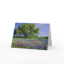 Live Oak & Texas Paintbrush, and Texas Greeting Cards