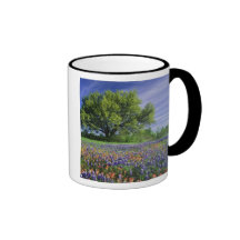 Live Oak & Texas Paintbrush, and Texas Coffee Mug