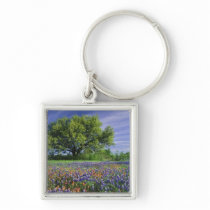 Live Oak & Texas Paintbrush, and Texas Key Chains