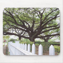 Live Oak Tree, Natchez, MS Mouse Pad mousepads by OurSouthernCharm Live Oak Tree, Natchez, MS Mouse Pad mousepads