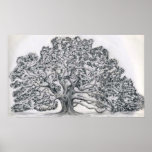 LIVE OAK TREE SKETCH PRINT