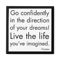 "Live The Life You've Imagined" Fridge Magnets