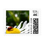 Live your Dreams Ladybug Postage
