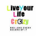 LIVE YOUR LIFE CRAZY photo sculptures