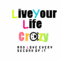LIVE YOUR LIFE CRAZY photo sculptures