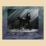 Live your Passion posters