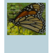 livelovelaugh butterfly t-shirts