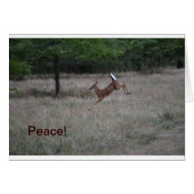 Lively Deer Notecard