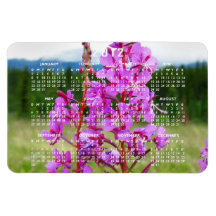 Lively Fireweed; 2012 Calendar Magnets