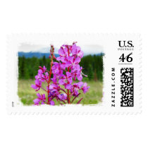 Lively Fireweed Postage Stamps