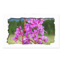 Lively Fireweed Rectangular Stickers