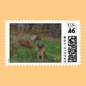 Liver and Black Beauty postage by pattiabram Liver and Black Beauty postage