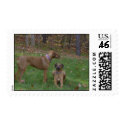 Liver and Black Beauty postage by pattiabram Liver and Black Beauty postage