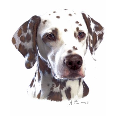 Liver Dalmatian shirt by kcpetcollectables