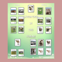 Livestock animals in the Bible posters