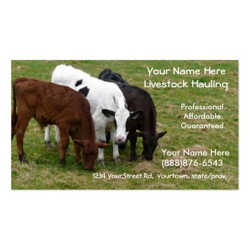 Livestock Hauling Cattle Ranchers Business Card (front side)