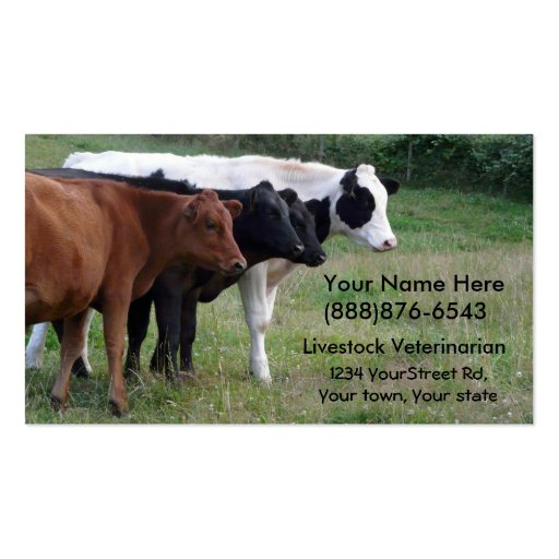 Livestock Veterinarian or Cattle Services Card Business Card Template (front side)