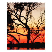 Living Art Sunset Silhouette Photo