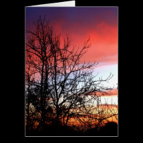 Living Art Tree Silhouette Red Skies Card cards
