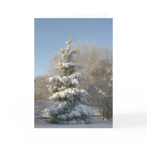 Living Christmas Tree cards by shayneemelissa Living Christmas Tree cards