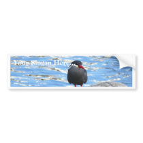 Living Coast Devon bumper stickers by lifesphere Living Coast Devon bumper stickers