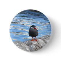 Living Coast Devon buttons by lifesphere Living Coast Devon buttons