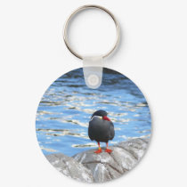 Living Coast Devon keychains by lifesphere Living Coast Devon keychains