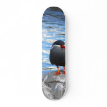 Living Coast Devon skateboards by lifesphere Living Coast Devon skateboards