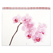 Living Color Wall Calendars
