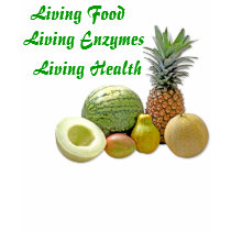 Living Food, Living Enzymes, Living Health t-shirts by merchant_magi Living Food, Living Enzymes, Living Health t-shirts