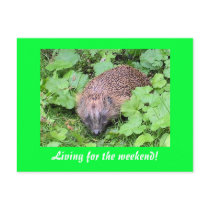 Living for the weekend! postcards by Jeeee11 Living for the weekend! postcards