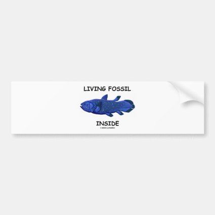 Living Fossil Inside (Coelacanth) Bumper Stickers