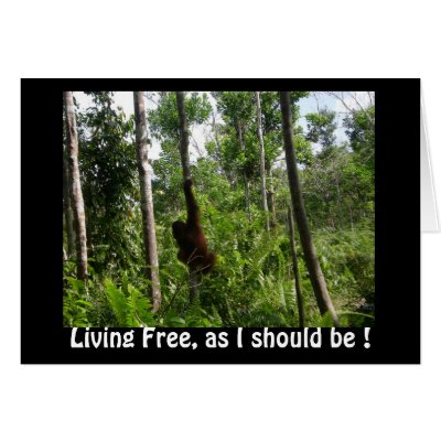 "Living Free, as I should be !"  blank card by Rebecca_Reeder