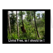 "Living Free, as I should be !" blank card by Rebecca_Reeder "Living Free, as I should be !" blank card