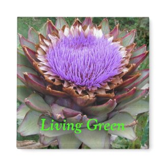 Living Green magnet