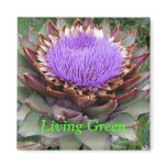 Living Green Magnet