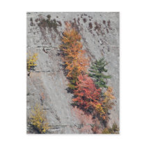 Living On The Canyon Wall Postcard by nedell Living On The Canyon Wall Postcard