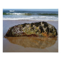 Living Rock Photo Art
