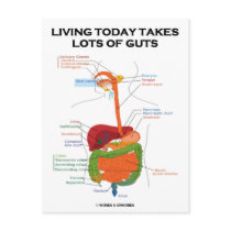 Living Today Takes Lots Of Guts (Digestive System) Postcards