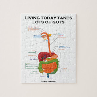 Digestive System Puzzles | Digestive System Jigsaw Puzzles