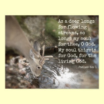 Living Waters Poster posters