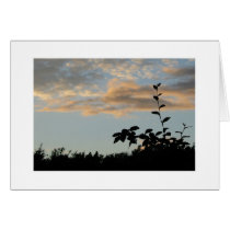 Livingston silhouette cards