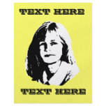 Liz Cheney flyers