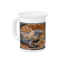 Lizard4_12x9 pitchers