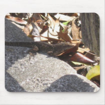 Lizard_002 mousepads by squirrel27 Lizard_002 mousepads